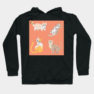 The 4 Muscateers Hoodie